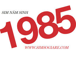 SIM NĂM SINH 1985